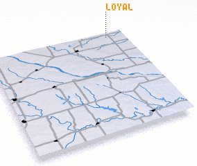 3d view of Loyal