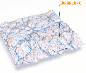 3d view of Guadalupe