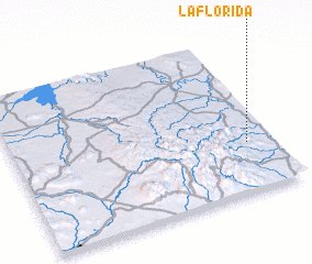 3d view of La Florida