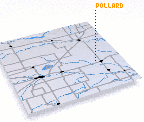 3d view of Pollard