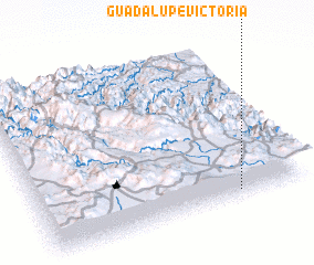 3d view of Guadalupe Victoria