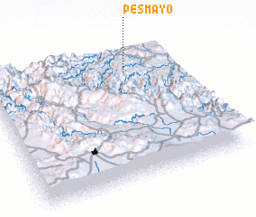 3d view of Pesmayo