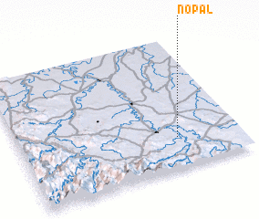 3d view of Nopal