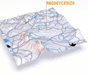 3d view of Maguey Cenizo