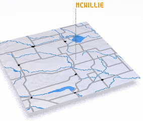 3d view of McWillie