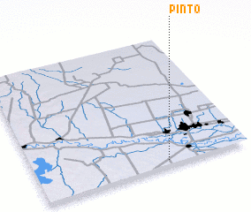 3d view of Pinto