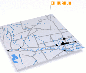 3d view of Chihuahua