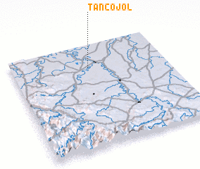 3d view of Tancojol