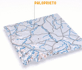3d view of Palo Prieto