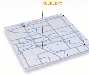 3d view of Medberry