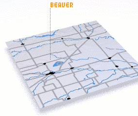 3d view of Beaver