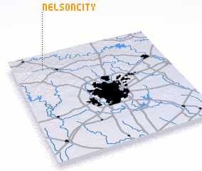 3d view of Nelson City