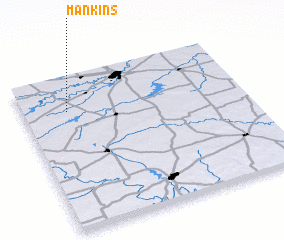 3d view of Mankins