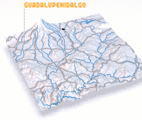 3d view of Guadalupe Hidalgo