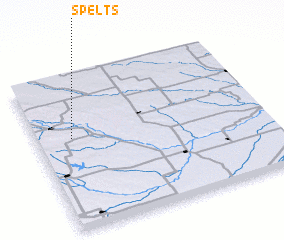 3d view of Spelts