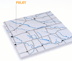 3d view of Foley