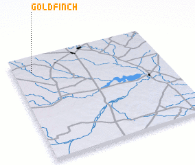 3d view of Goldfinch