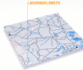 3d view of Laguna del Mante