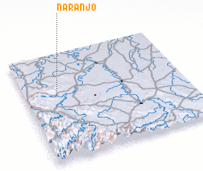 3d view of Naranjo