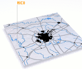 3d view of Mico