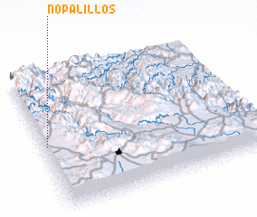 3d view of Nopalillos