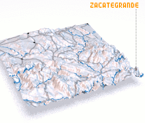 3d view of Zacate Grande