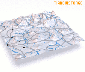 3d view of Tianguistongo