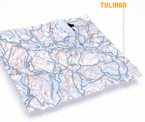 3d view of Tulimán