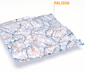 3d view of Paligua