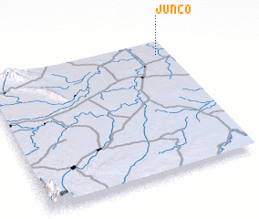 3d view of Junco