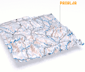 3d view of Paxalja