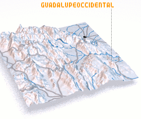 3d view of Guadalupe Occidental