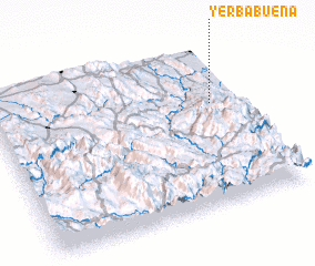 3d view of Yerbabuena