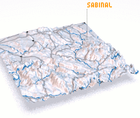 3d view of Sabinal