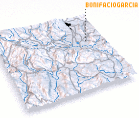 3d view of Bonifacio García