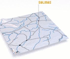 3d view of Salinas