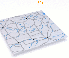 3d view of Fry