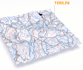 3d view of Temilpa