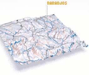 3d view of Naranjos