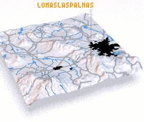 3d view of Lomas Las Palmas