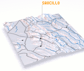 3d view of Saucillo