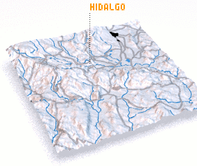 3d view of Hidalgo