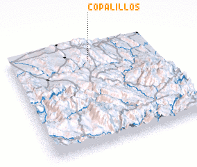 3d view of Copalillos
