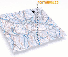 3d view of Acayahualco