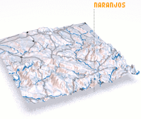 3d view of Naranjos