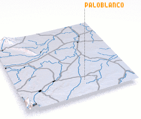 3d view of Palo Blanco