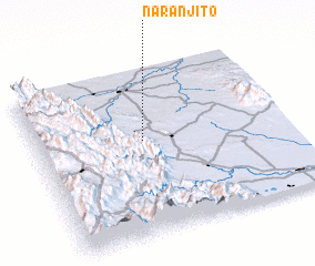 3d view of Naranjito