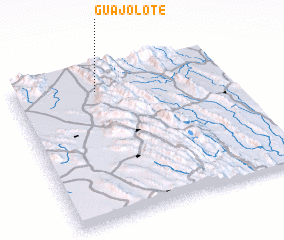 3d view of Guajolote