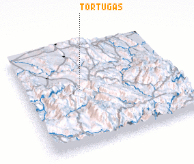 3d view of Tortugas