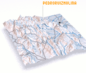 3d view of Pedro Ruíz Molina